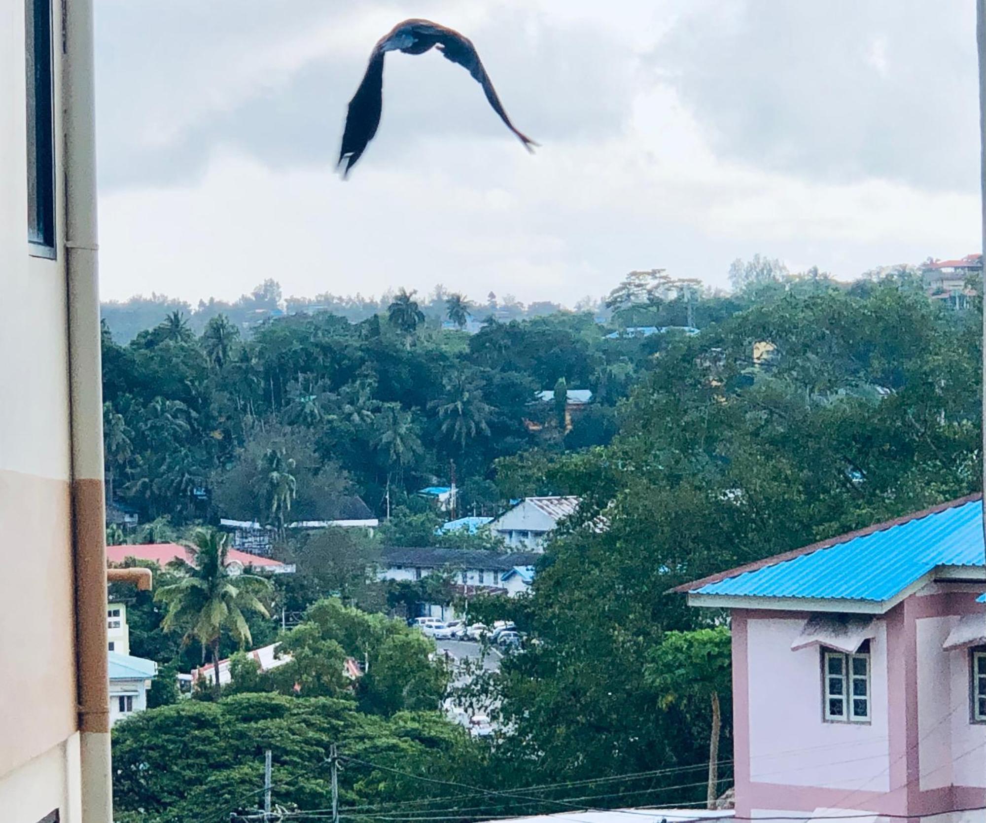 Sea Pearl Homestay Port Blair